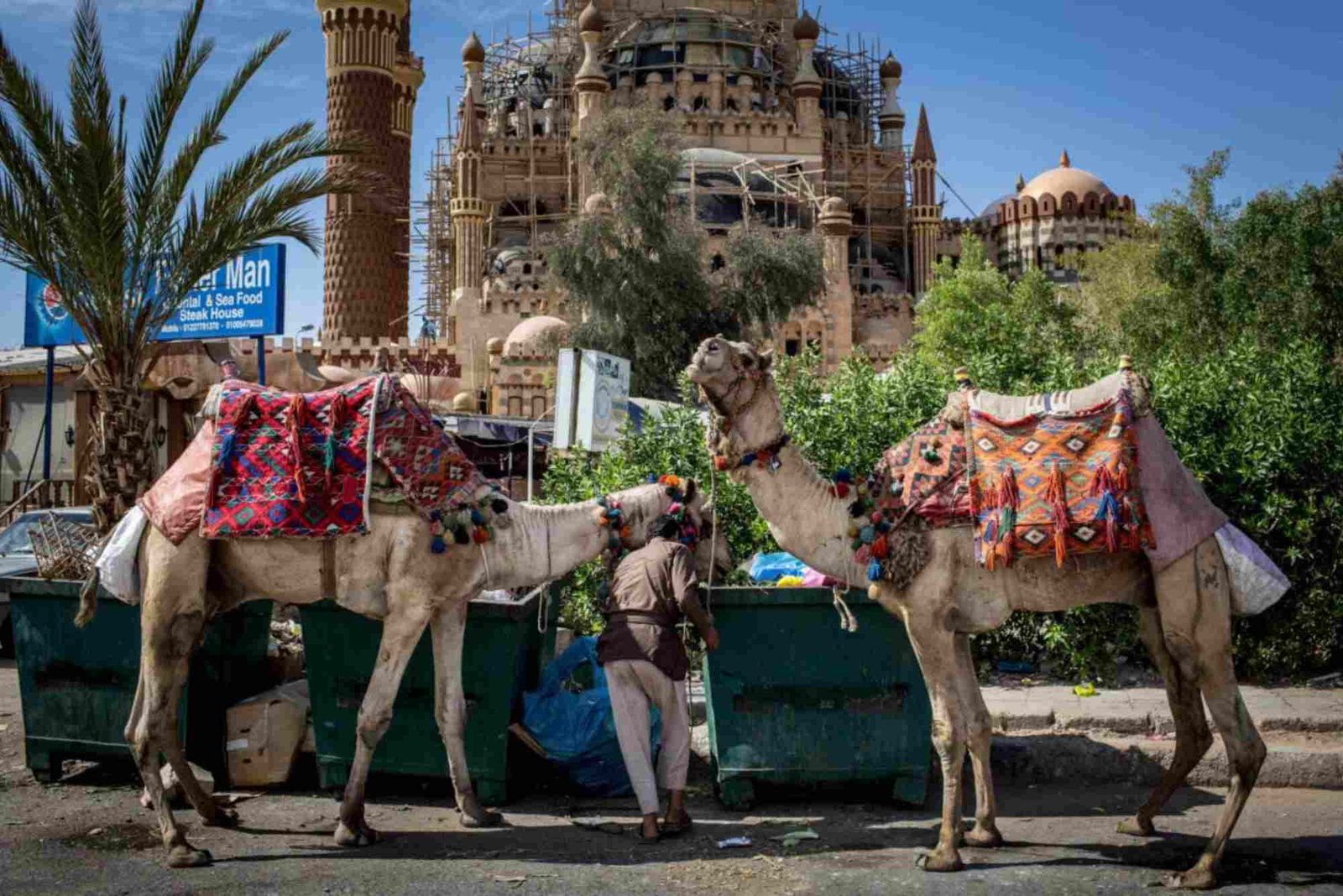 المجيد للسياحة